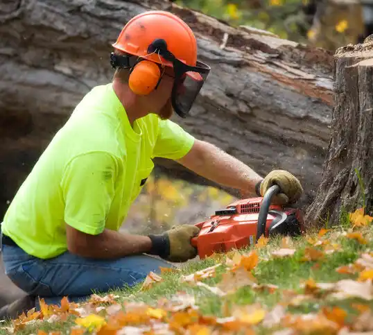 tree services New Hope